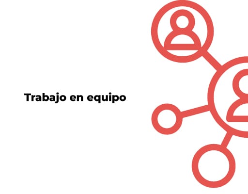 Trabajo en equipo