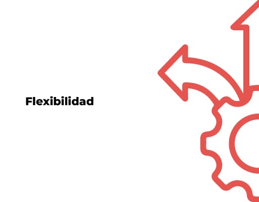 Flexibilidad