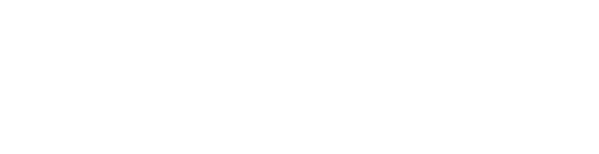 Encuesta de experiencia Startuplab.01